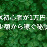 fx初心者は1万円からでも！安心の少額で確実に稼げる秘訣とは？